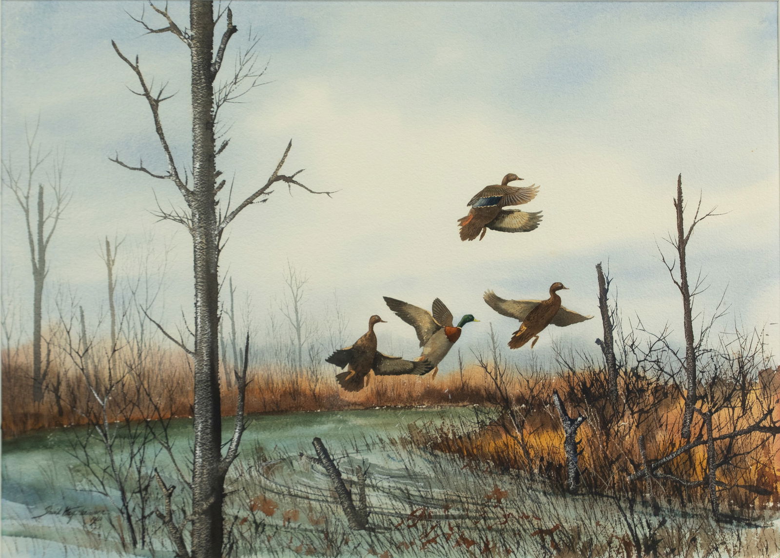 David A. Hagerbaumer (1921-2014), Ducks Taking Off From A Marsh: David A. Hagerbaumer (1921-2014) Ducks Taking Off From A Marsh, 1960 signed and dated "David Hagerbaumer 1960" lower left watercolor, 21 1/2 by 29 1/4 in. This large Hagerbaumer depicts a mallard