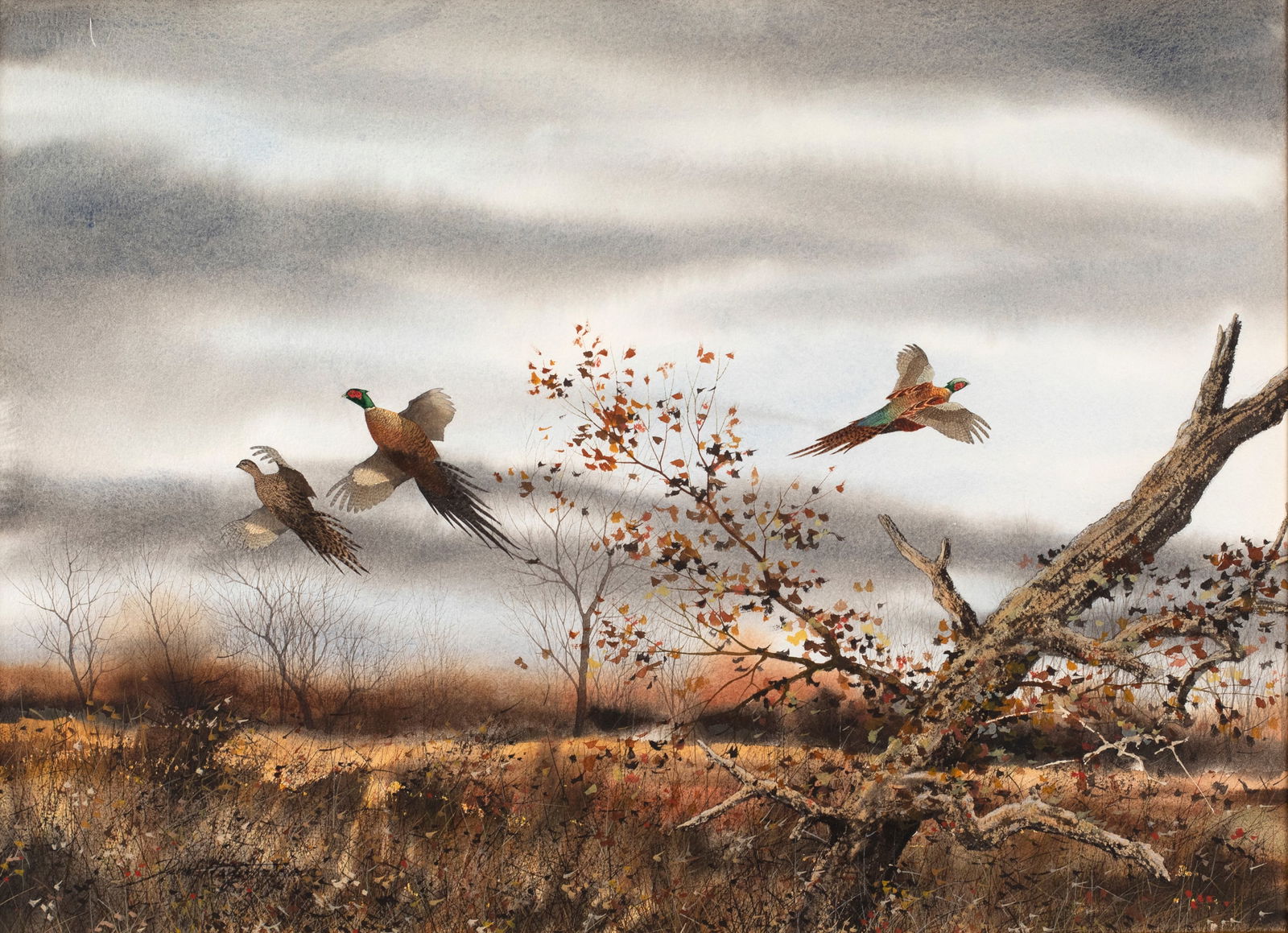 David A. Hagerbaumer (1921-2014), Flushed Pheasants (1 of 3)