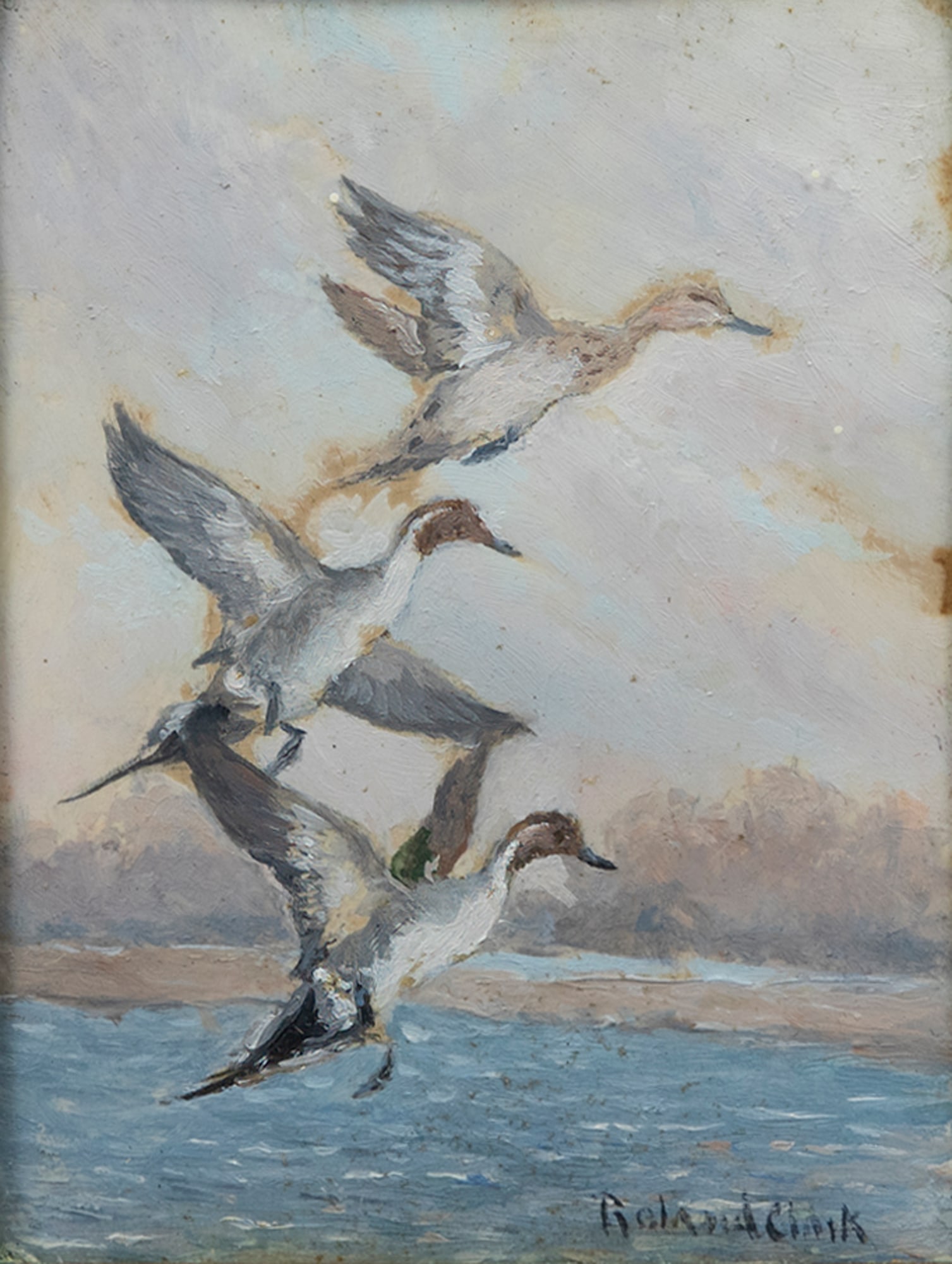 Roland Clark (1874-1957), Flying Pintails (1 of 5)