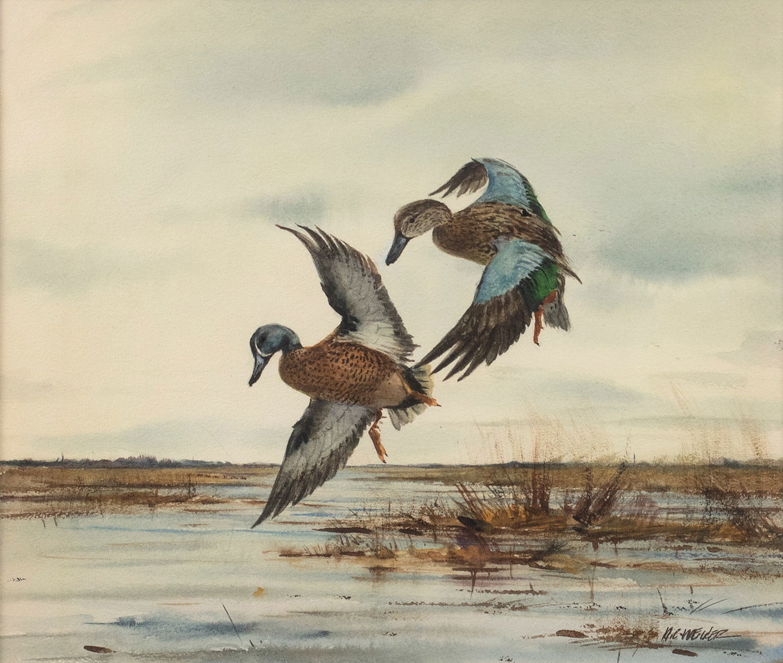 Milton C. Weiler (1910-1974), Blue-Winged Teal Pair (1 of 3)
