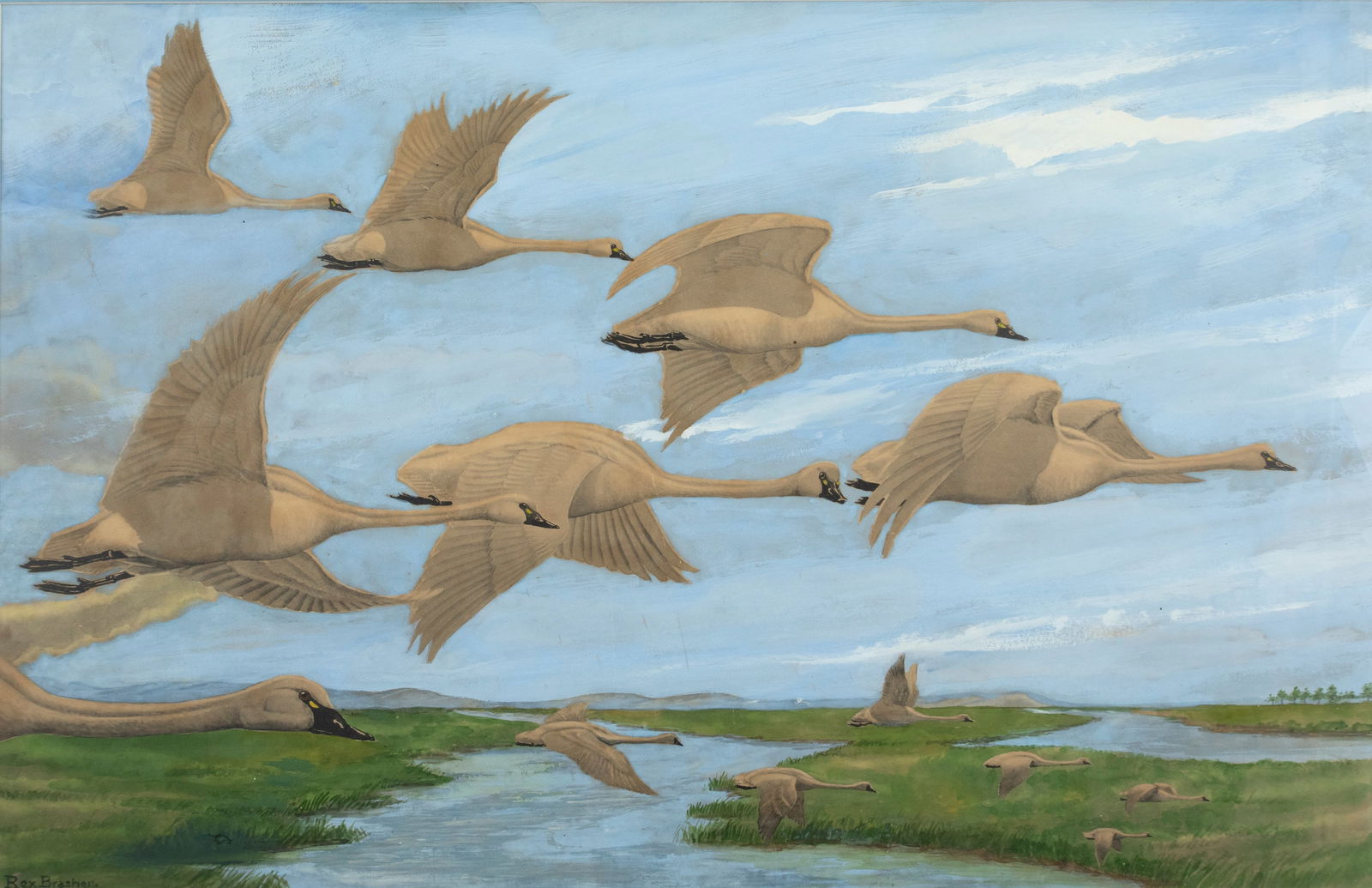 Rex Brasher (1869-1960), Swans (1 of 3)