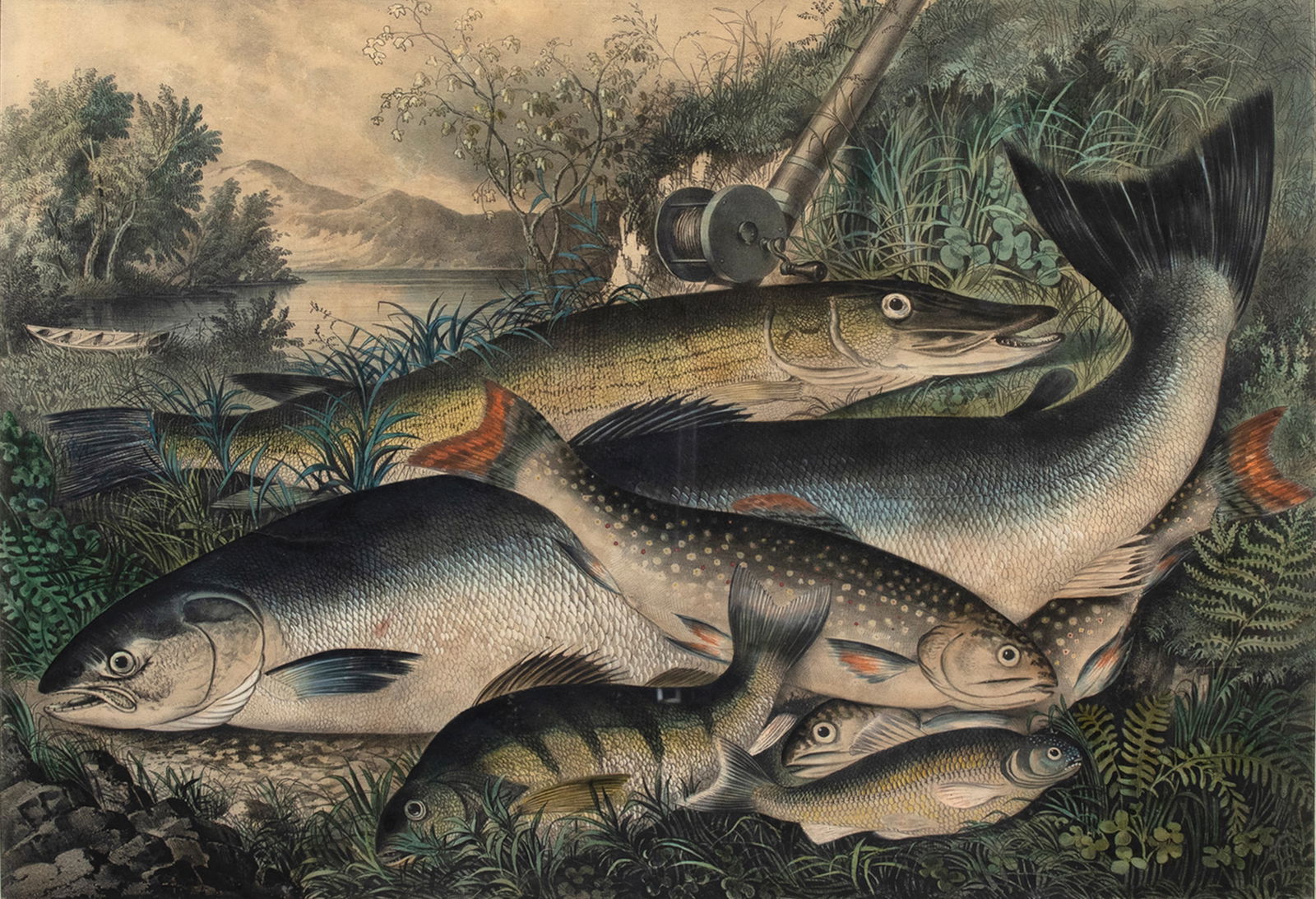 Currier and Ives (1857-1907), American Game Fish (1 of 3)