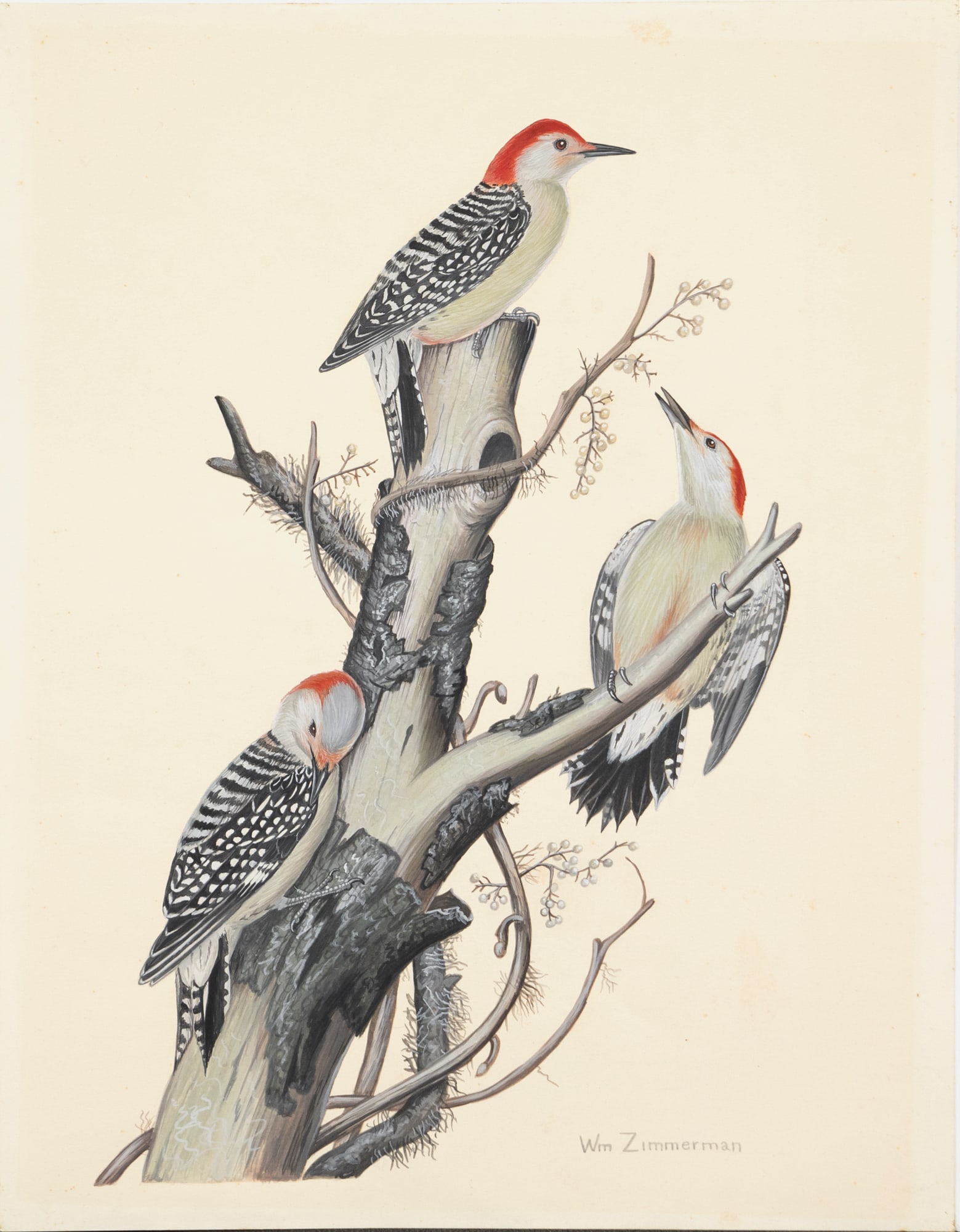 William Harold Zimmerman (1937-2011), Two Paintings of Woodpeckers (1 of 2)