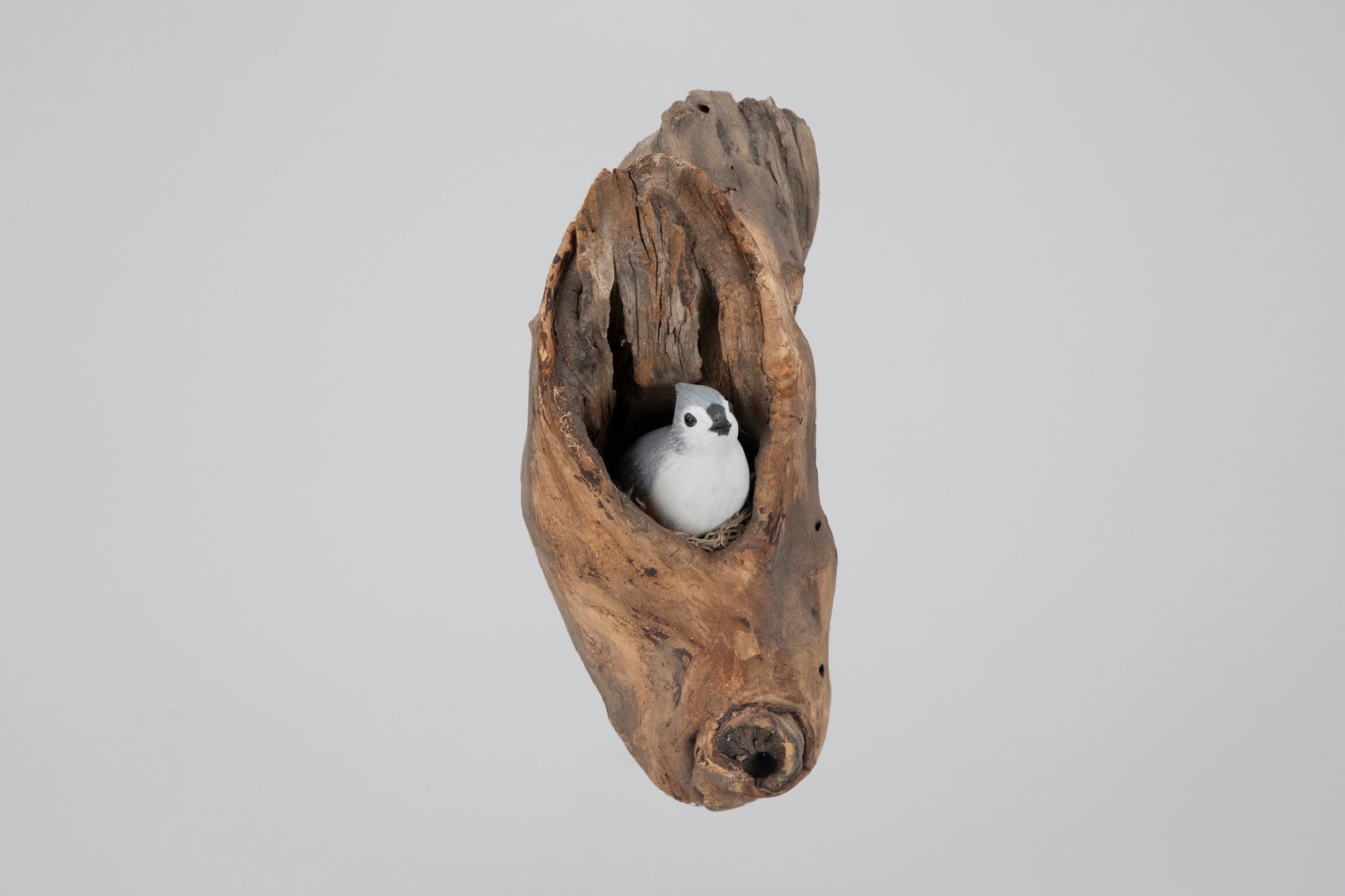 Tufted Titmouse in Nest, Eddie Wozny (b. 1959): Tufted Titmouse in Nest Eddie Wozny (b. 1959) Cambridge, MD, 2009 10 1/2 in. tall A well-executed carving with the maker's sticker, signature, and date on the back. Original paint with light wear.