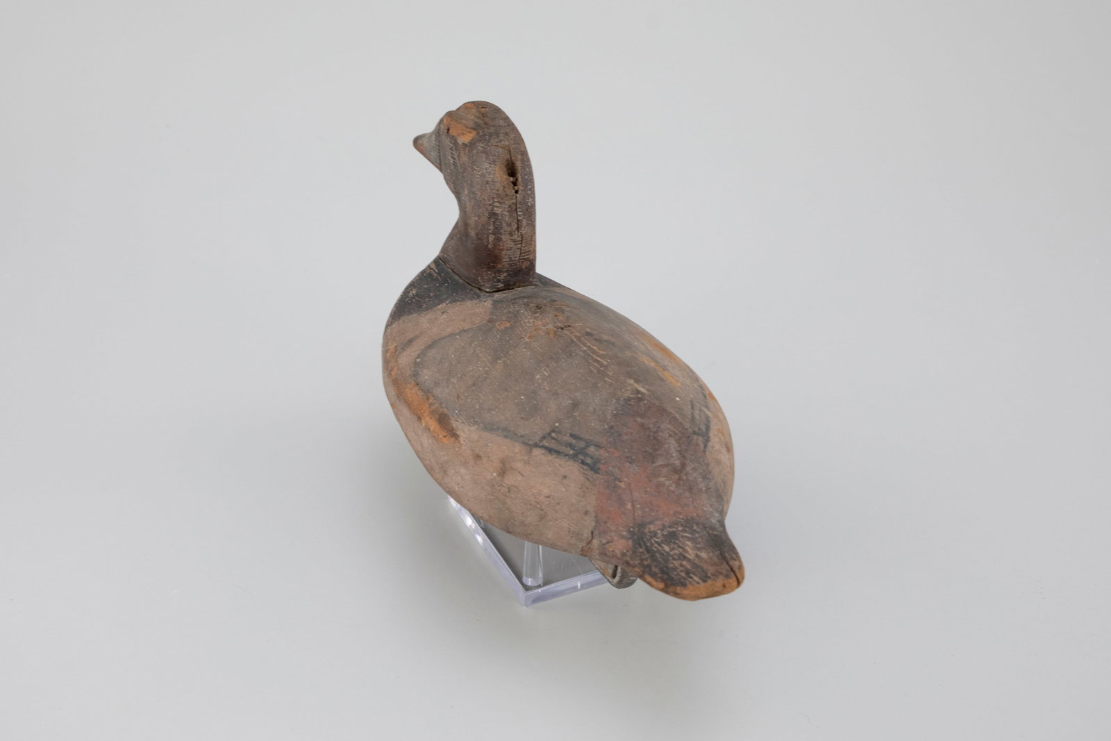 Hen Canvasback Decoy - 3