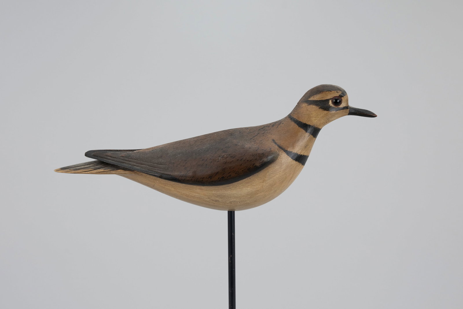 Killdeer Decoy, William Gibian (b. 1946) (1 of 5)