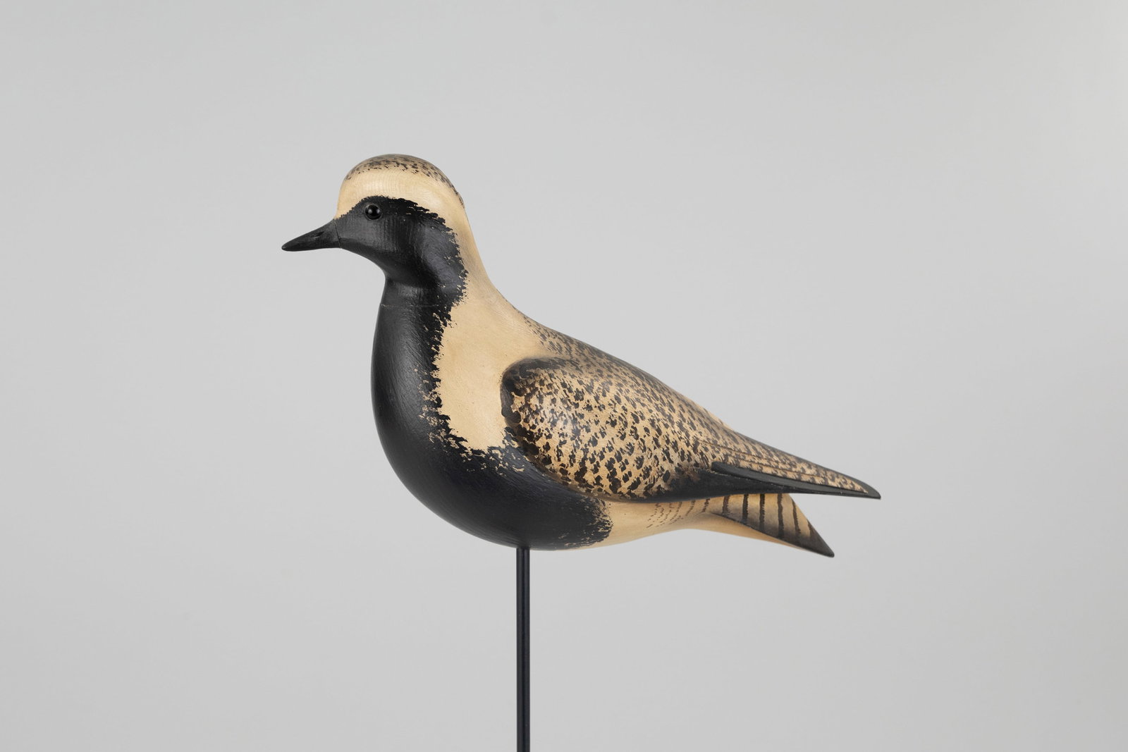 Oversize Black-Bellied Plover Decoy, William Gibian (b. 1946) (1 of 5)