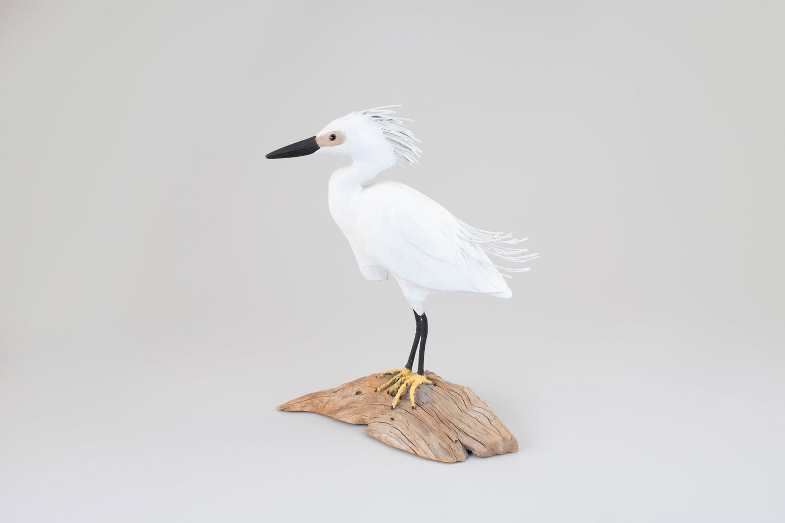 Half-Size Snowy Egret, Tad Beach (1956-2015) (1 of 5)