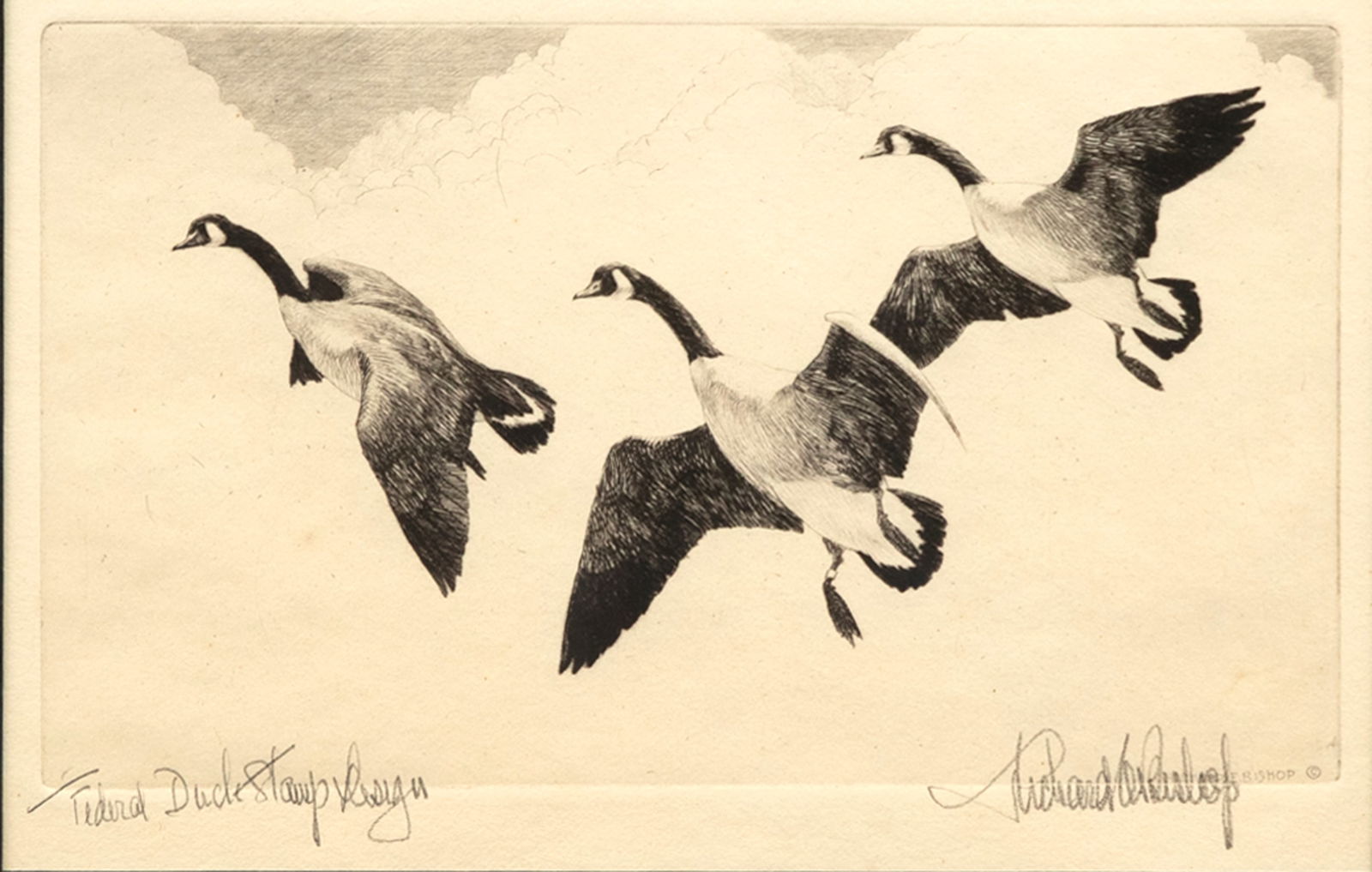 Richard E. Bishop (1887-1975), Federal Duck Stamp Design (1 of 3)