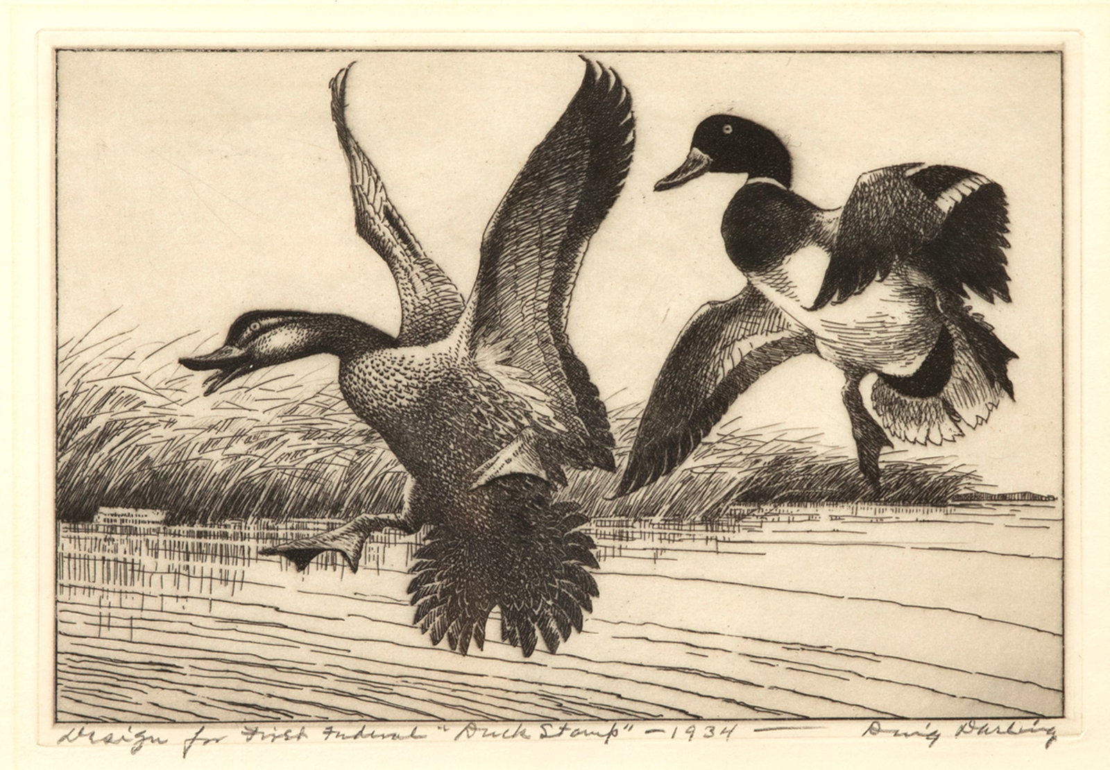 Jay Norwood "Ding" Darling (1876-1962), Design For First Federal Duck Stamp (1 of 3)