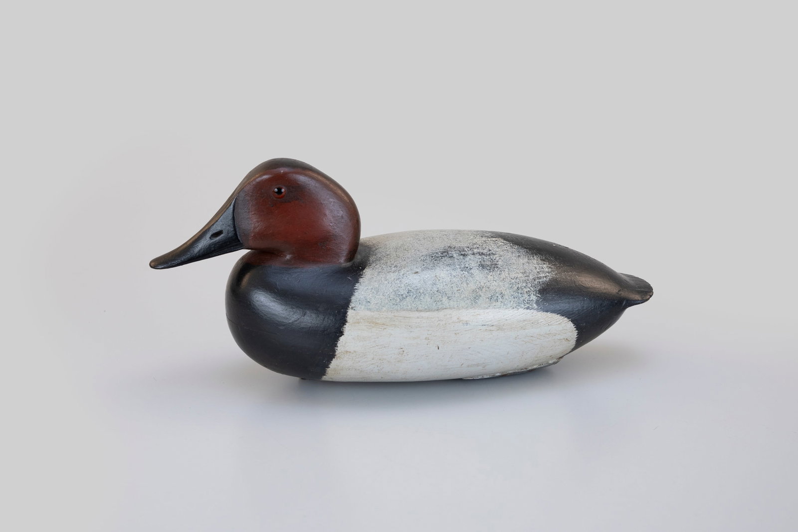 Canvasback Drake Decoy, Dan English (1883-1962) (1 of 5)