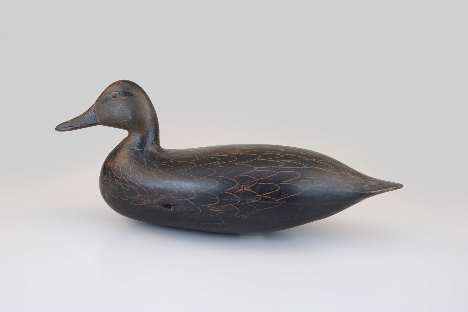 Black Duck Decoy, Harry M. Shourds (1890-1943) (1 of 5)