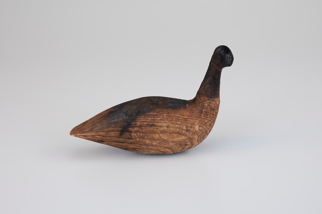 Burnt Shorebird (1 of 5)