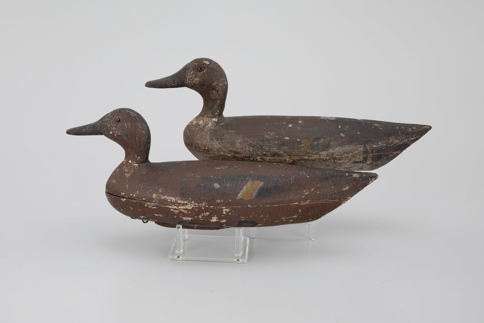 Long-Body Pintail Pair - 2