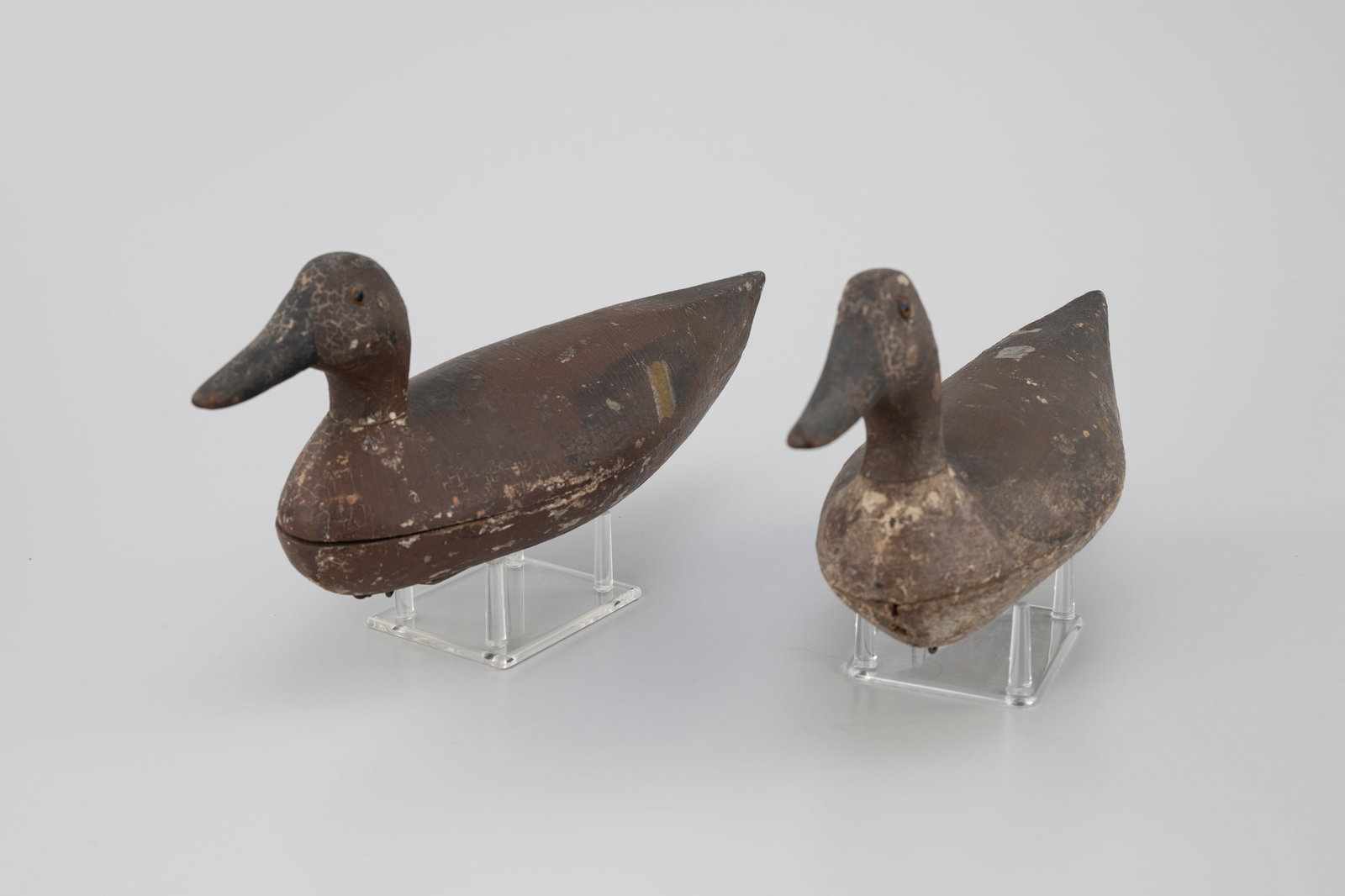 Long-Body Pintail Pair - 5