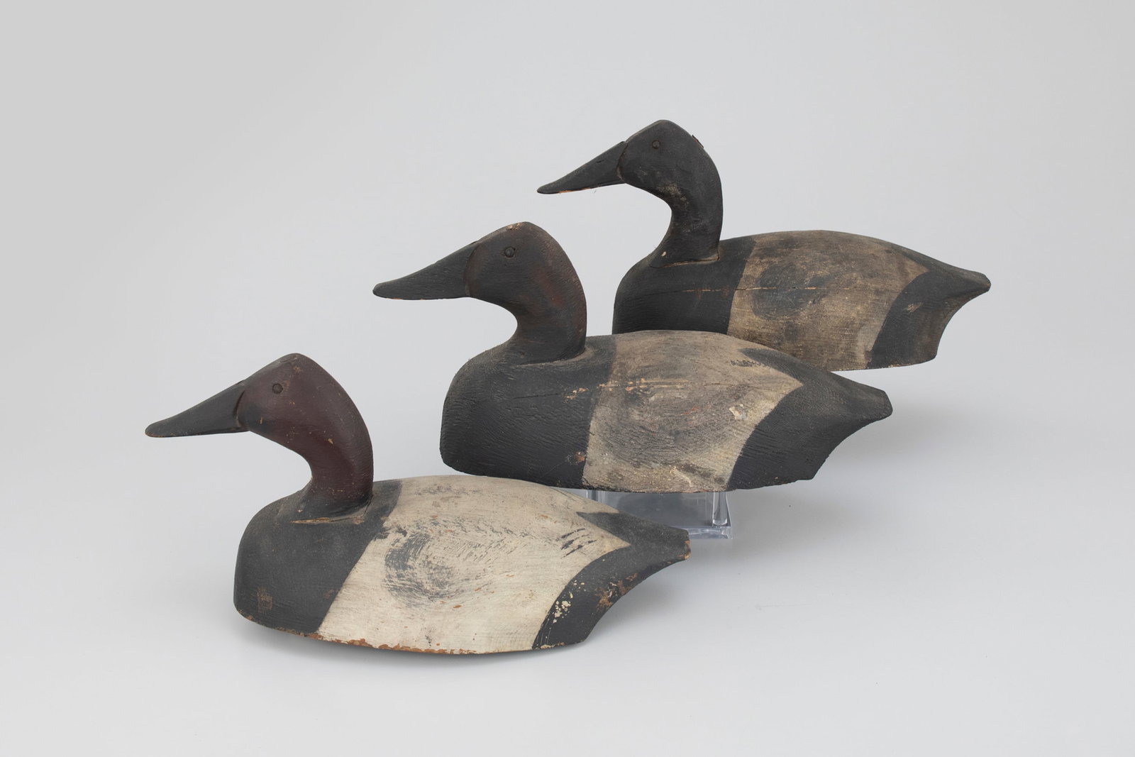 Trio of Canvasback Decoys (1 of 5)