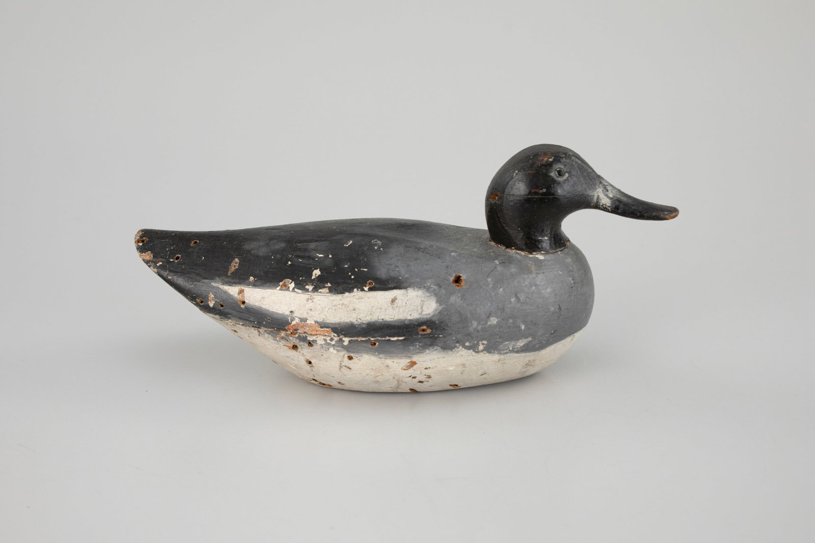 Bufflehead Hen (1 of 5)