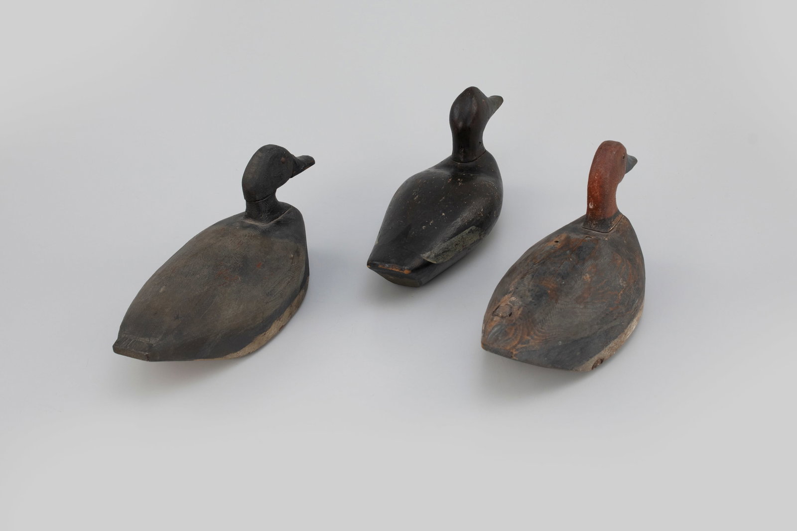Three Diving Duck Decoys - 3
