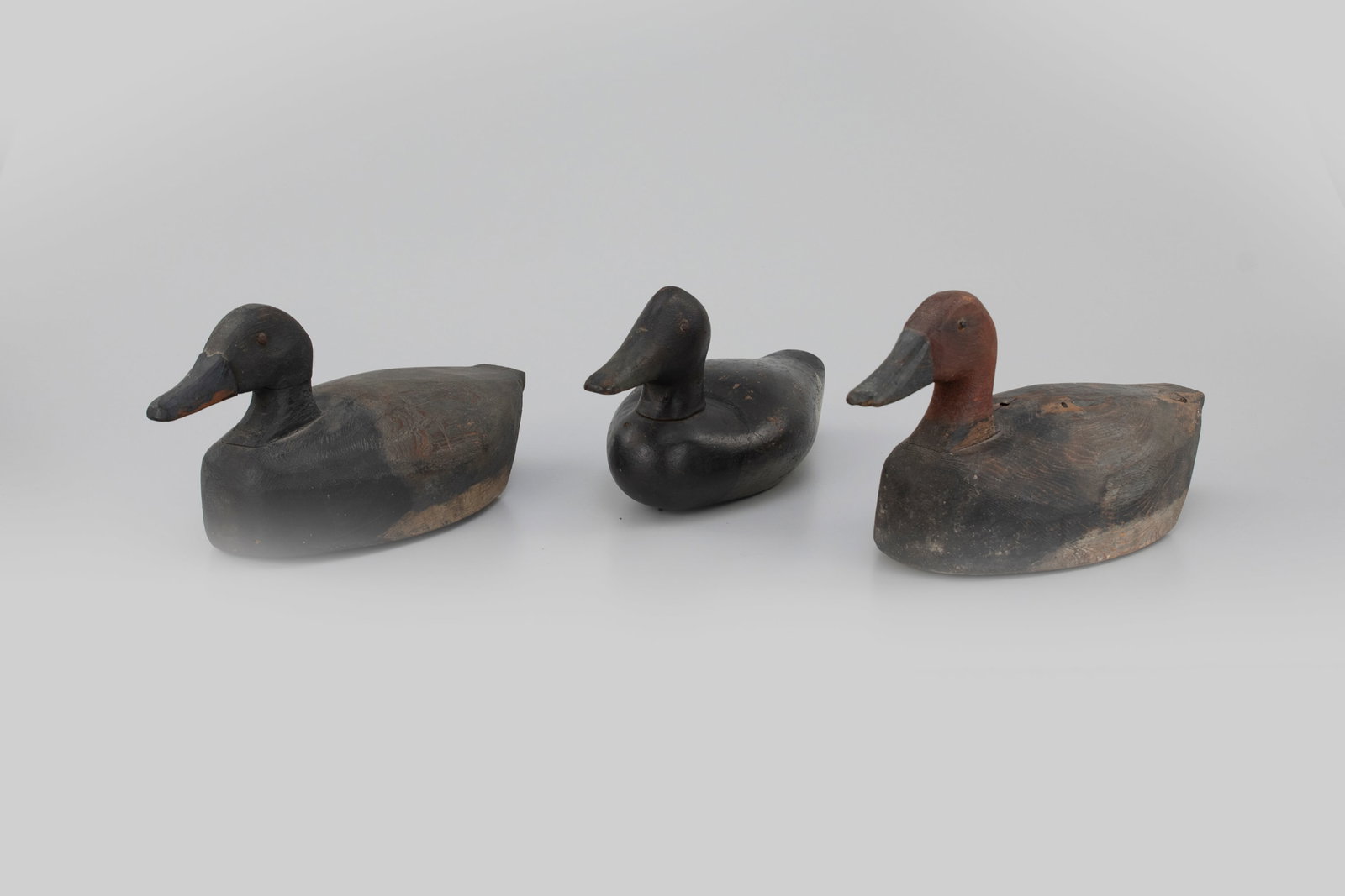 Three Diving Duck Decoys - 5