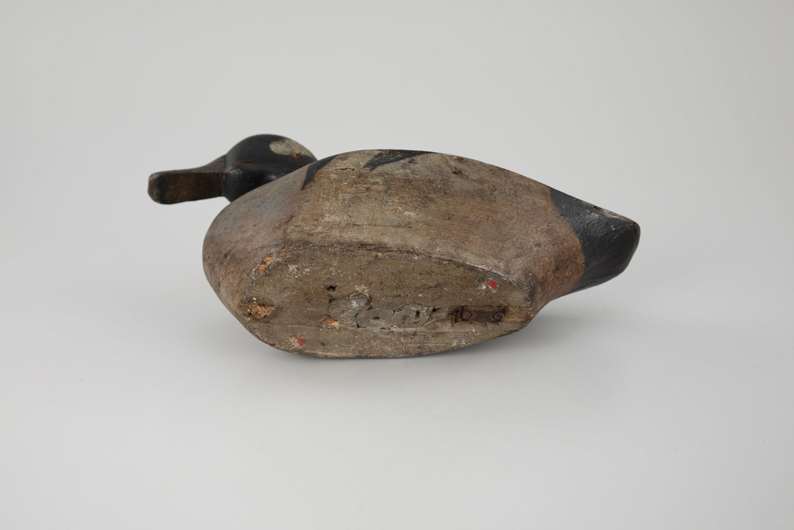 Bufflehead Decoy - 4