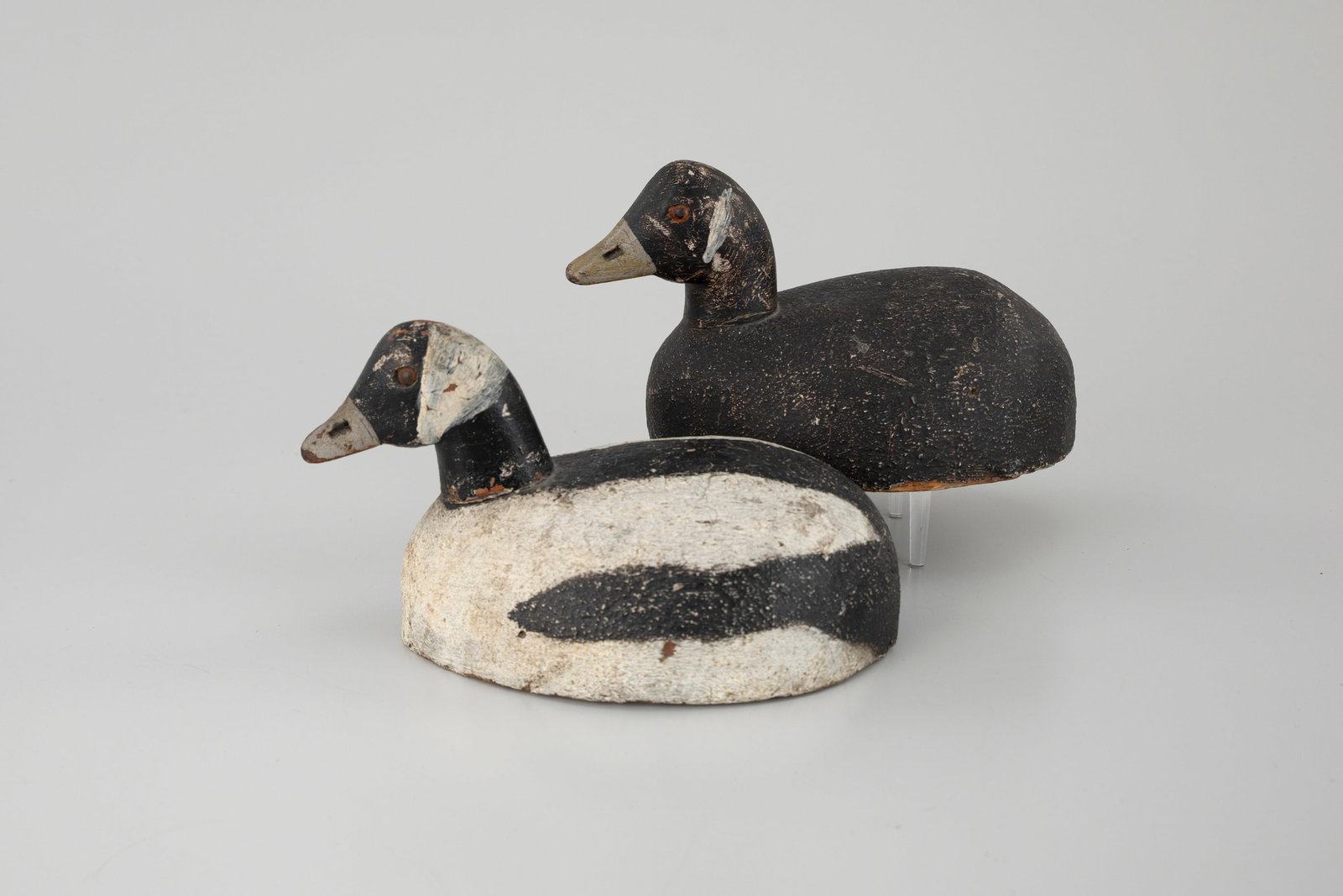 Bobtail Bufflehead Pair: Bobtail Bufflehead Pair Michigan 9 3/4 in. long A matching pair of rounded butterballs. Original paint with gunning wear, flaking to drake's head. Provenance: Jeff and Joyce Hay Collection