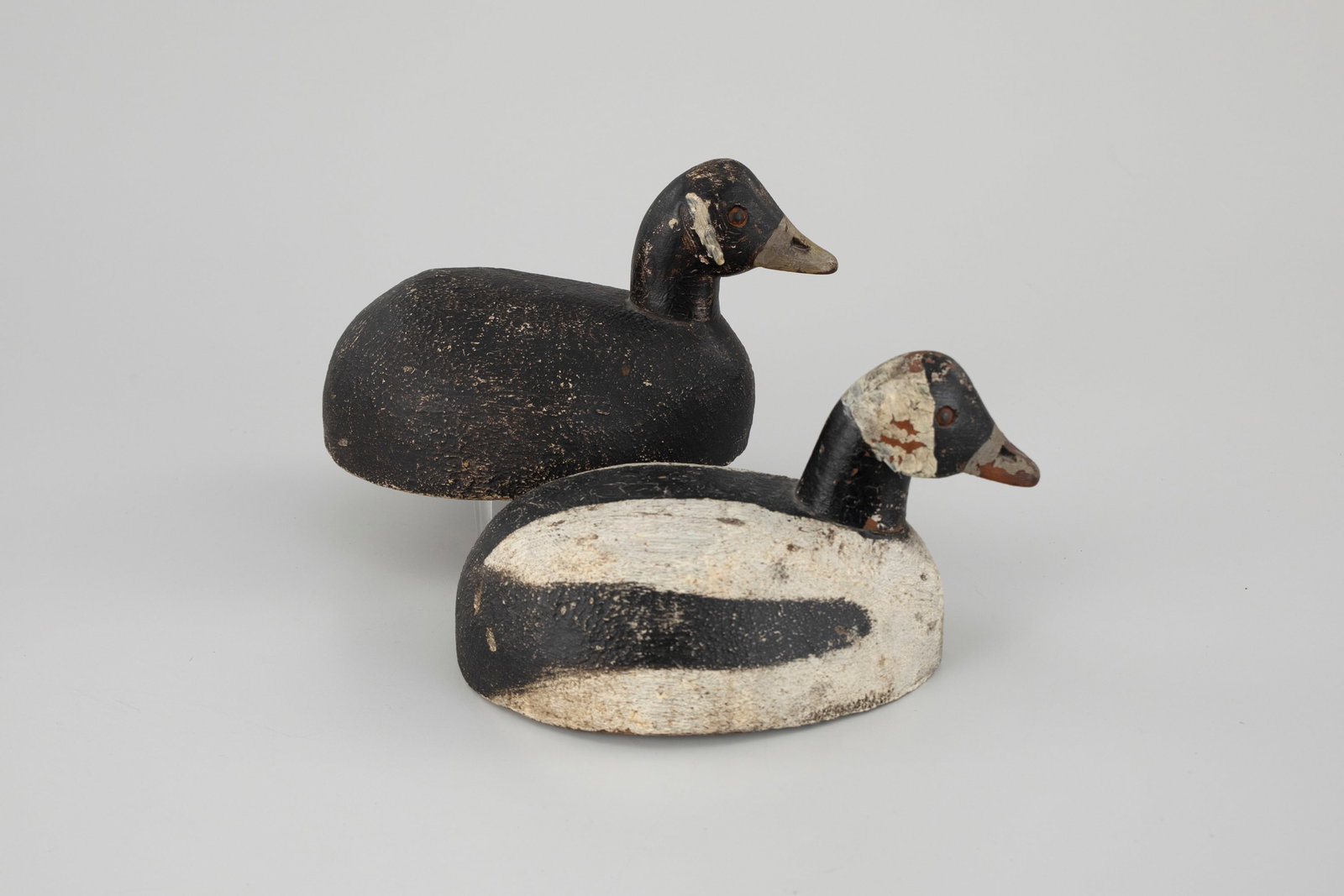 Bobtail Bufflehead Pair - 2