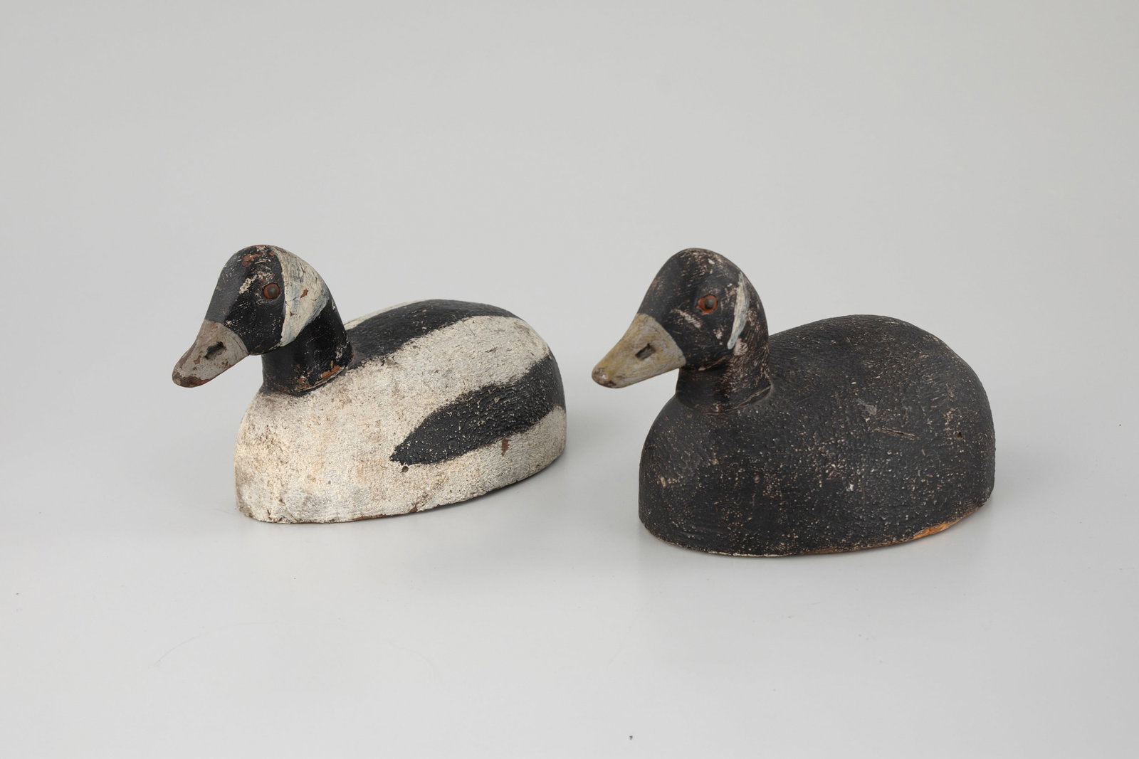 Bobtail Bufflehead Pair - 5