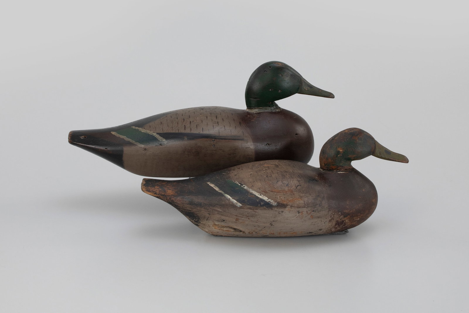Two Winous Point Mallards (1 of 5)