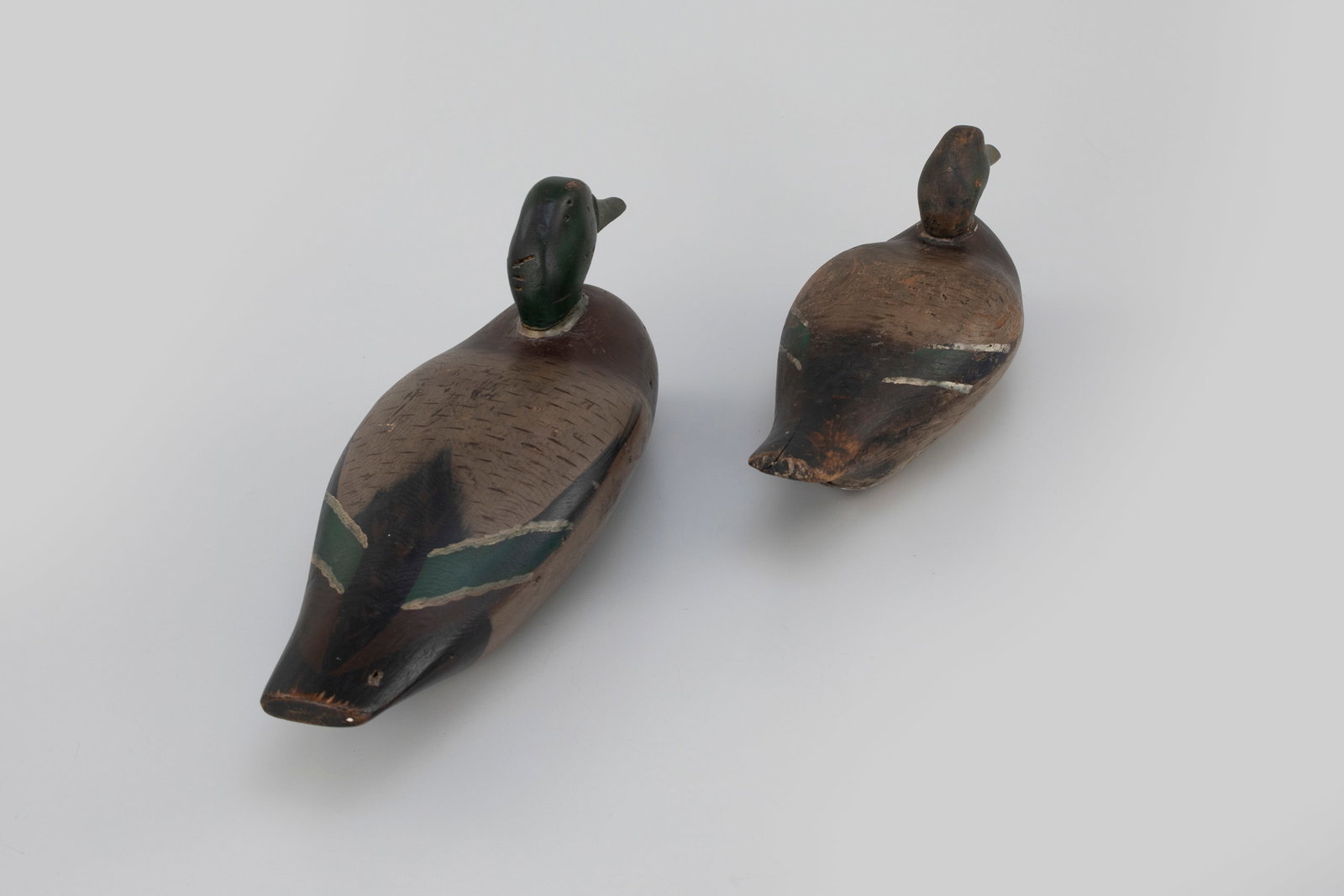 Two Winous Point Mallards - 3