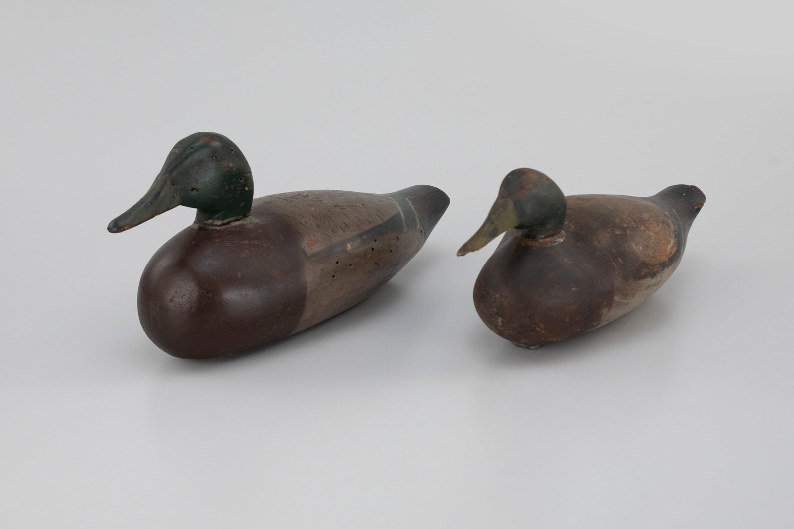 Two Winous Point Mallards - 5