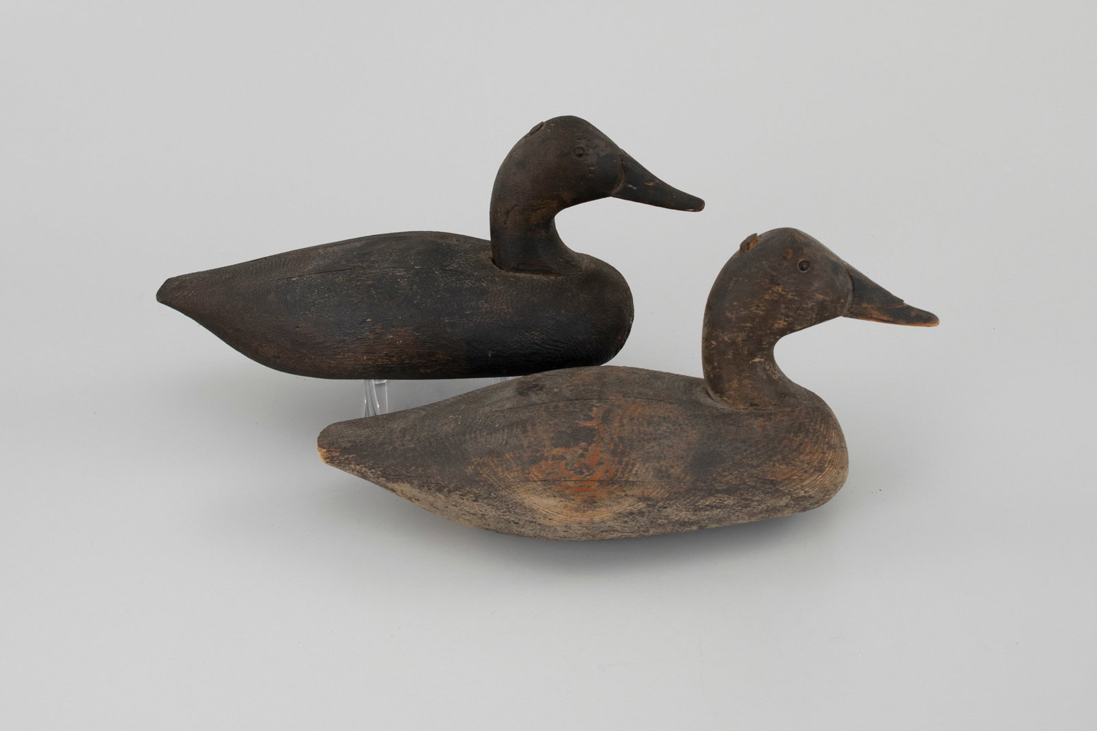 Canvasback Decoy Pair - 2