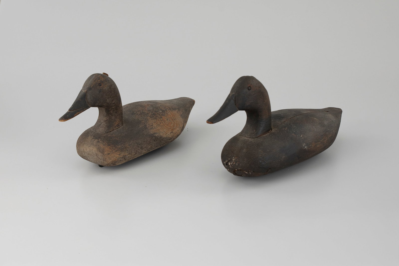 Canvasback Decoy Pair - 5