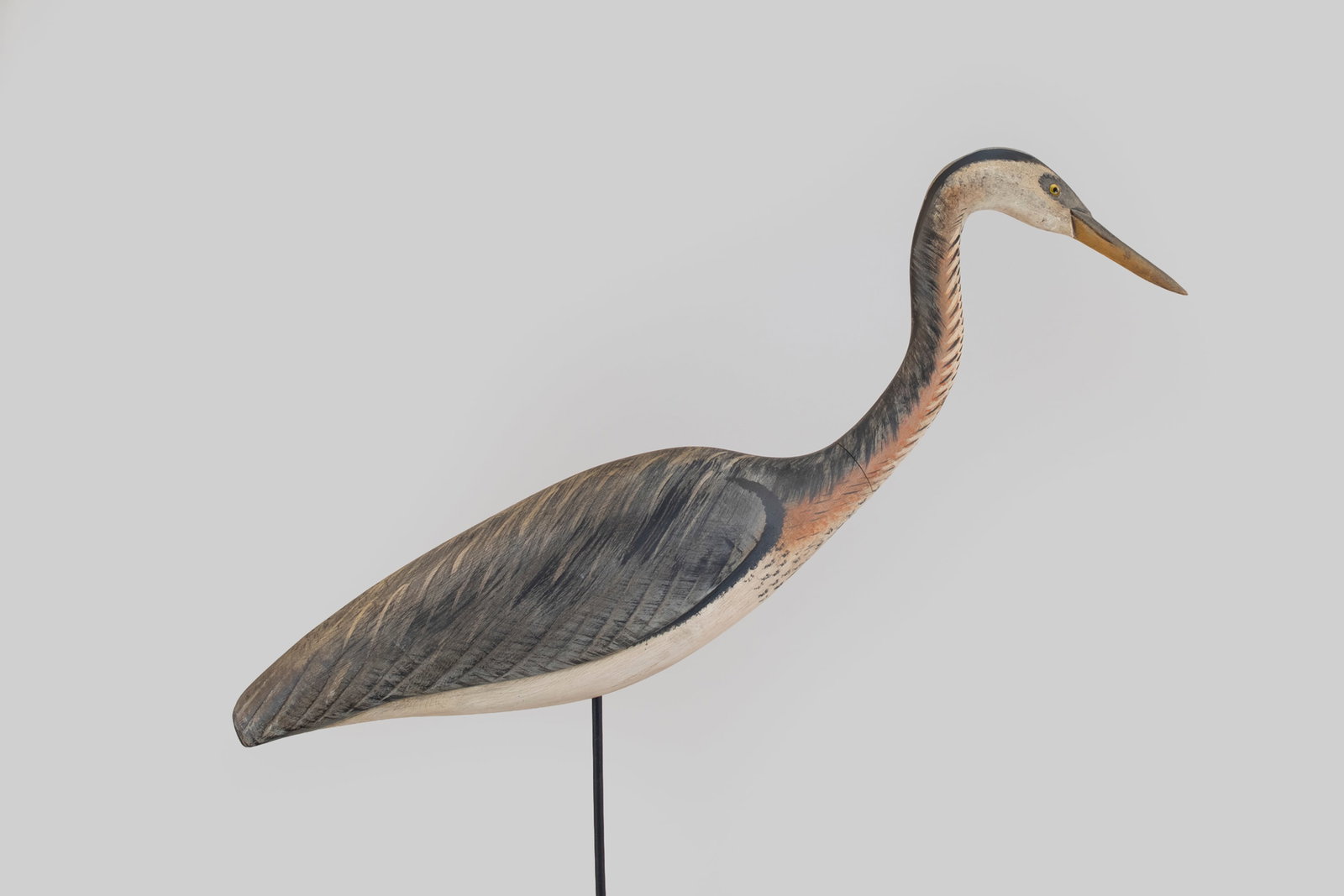 Life-Size Great Blue Heron, Ken Kirby (b. 1946): Life-Size Great Blue Heron Ken Kirby (b. 1946) Little Egg Harbor, NJ 32 in. long This large carving has a removable head and is signed "Ken Kirby" on the belly. Original paint with light wear. 