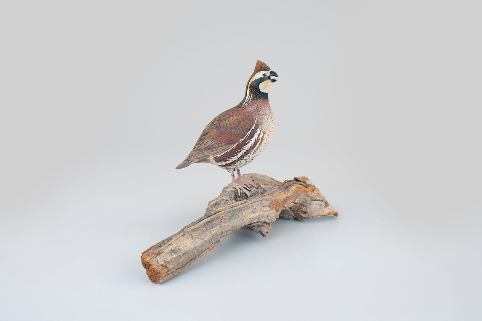 Life-Size Quail (1 of 5)