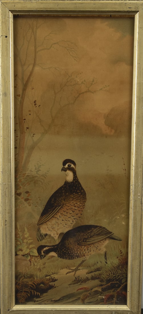 Quail Print - 2