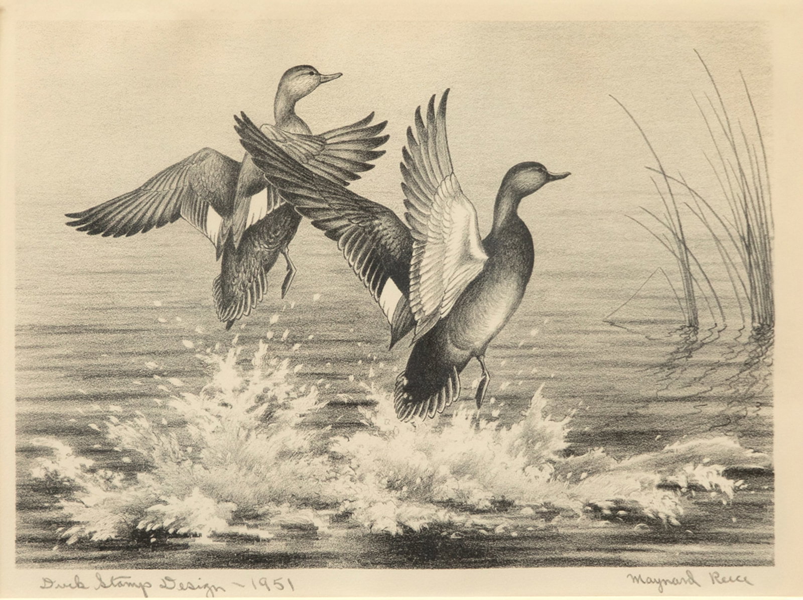 Maynard Reece (1920-2020), Gadwalls (1 of 3)