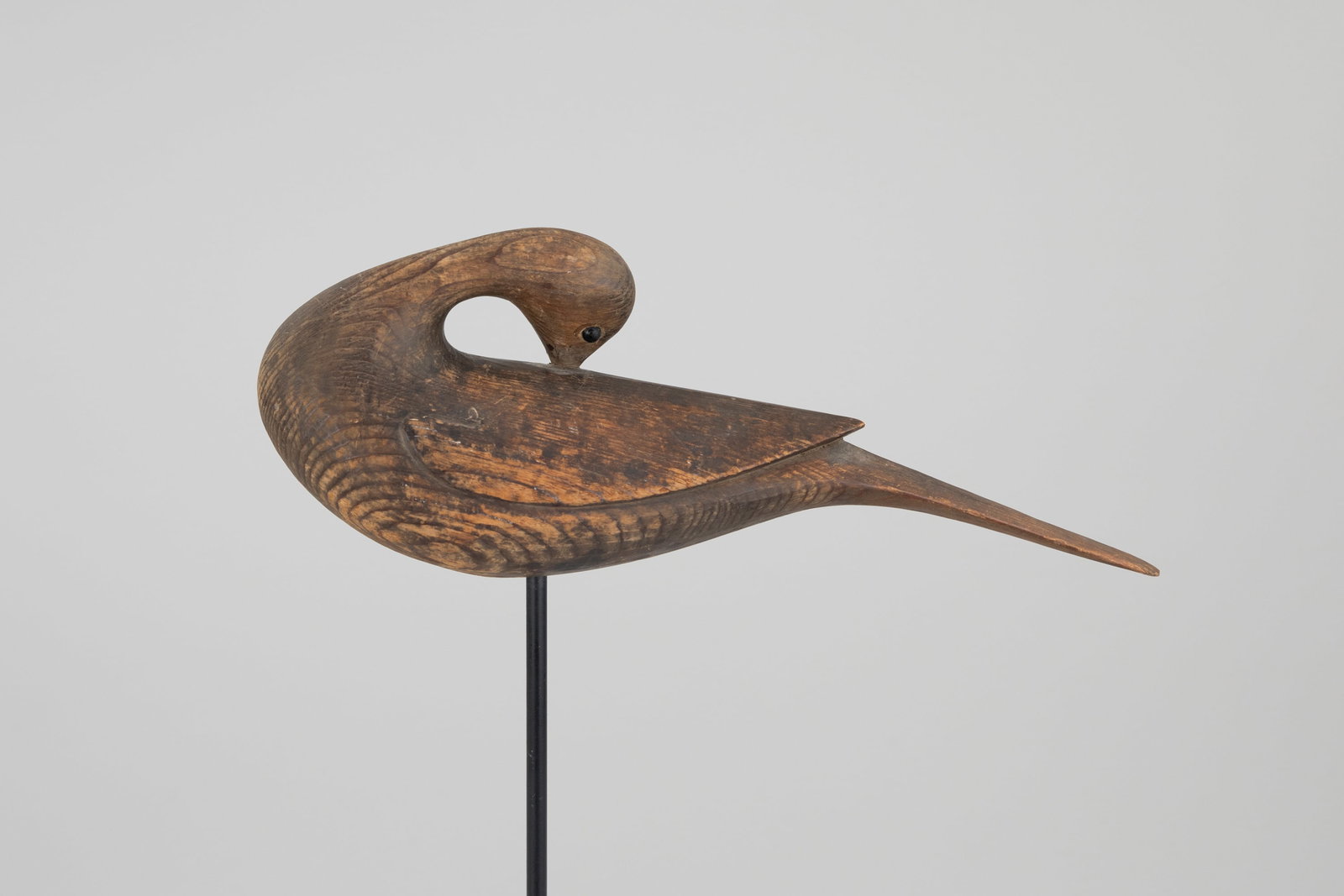 Early Preening Dove by Mark McNair (b. 1950) (1 of 6)