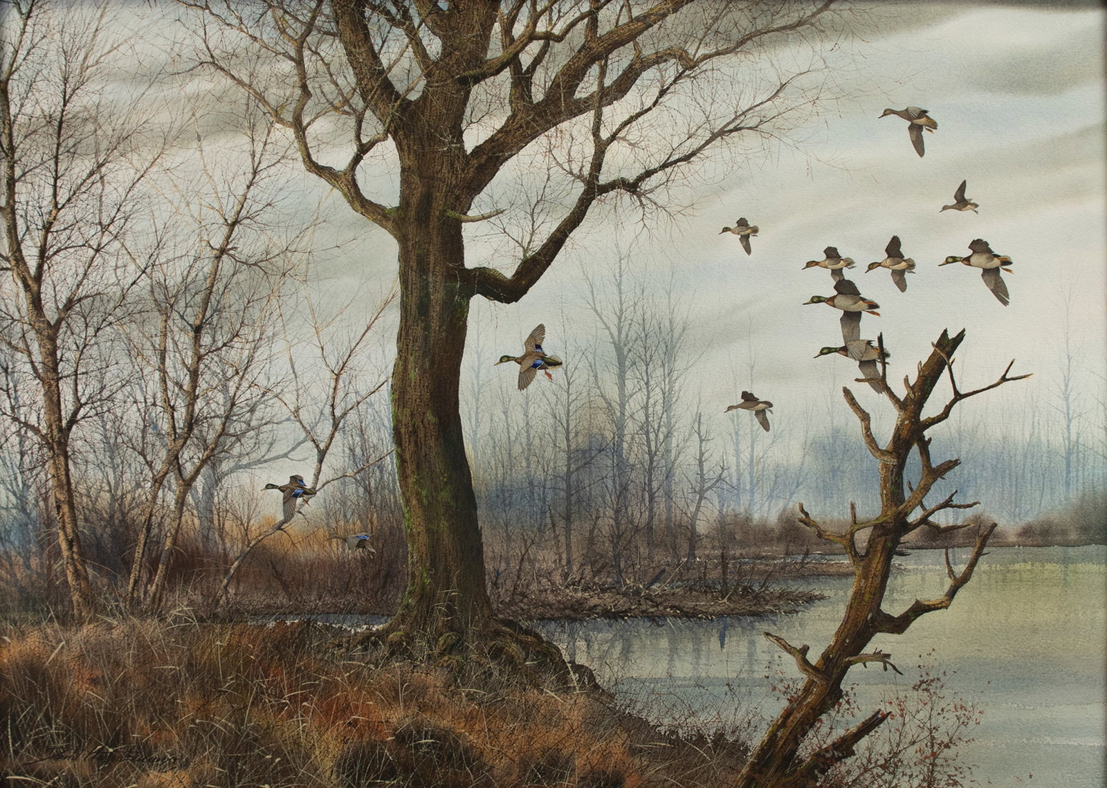 David A. Hagerbaumer (1921-2014), Mallards Landing in a Marsh (1 of 3)