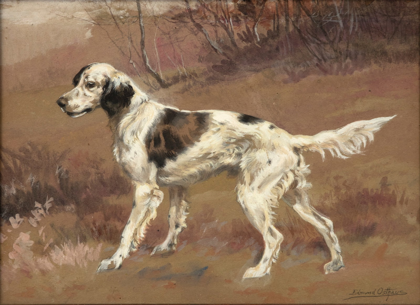 Edmund Henry Osthaus (1858-1928), English Setter: Edmund Henry Osthaus (1858-1928) English Setter signed "Edmund Osthaus" lower right watercolor, 13 1/2 by 18 1/4 in. M. Knoedler & Co., New York label on back framed, 15 1/2 by 20 in.
