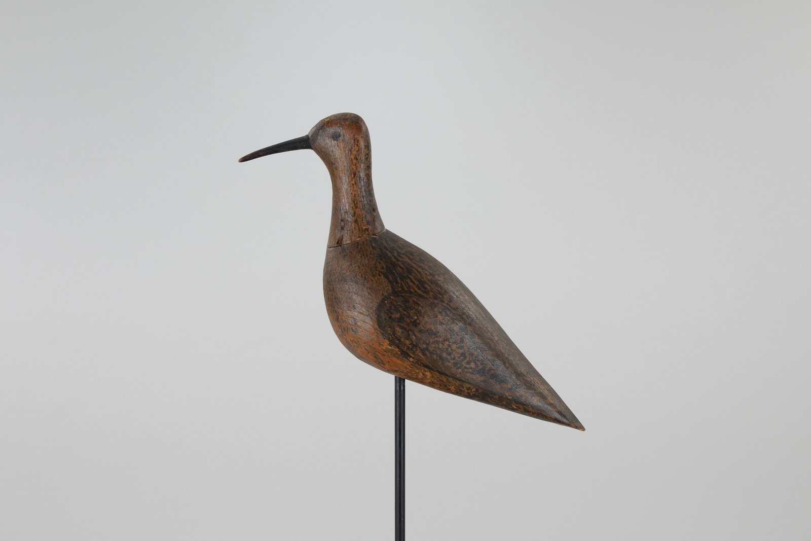 Eskimo Curlew (1 of 5)