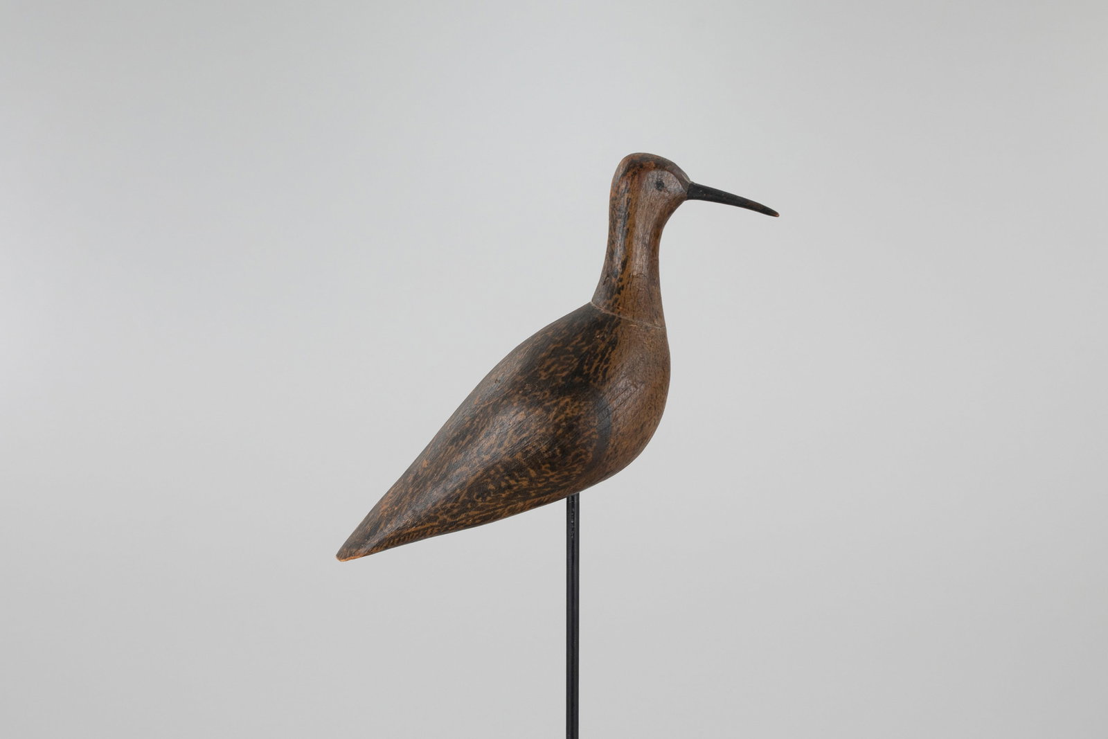 Eskimo Curlew - 2