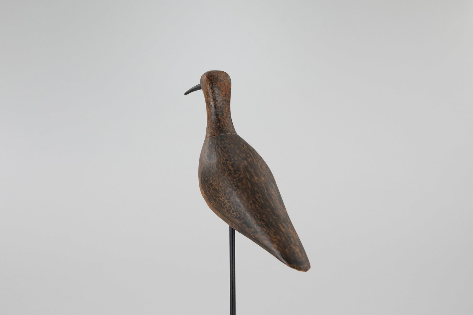 Eskimo Curlew - 3