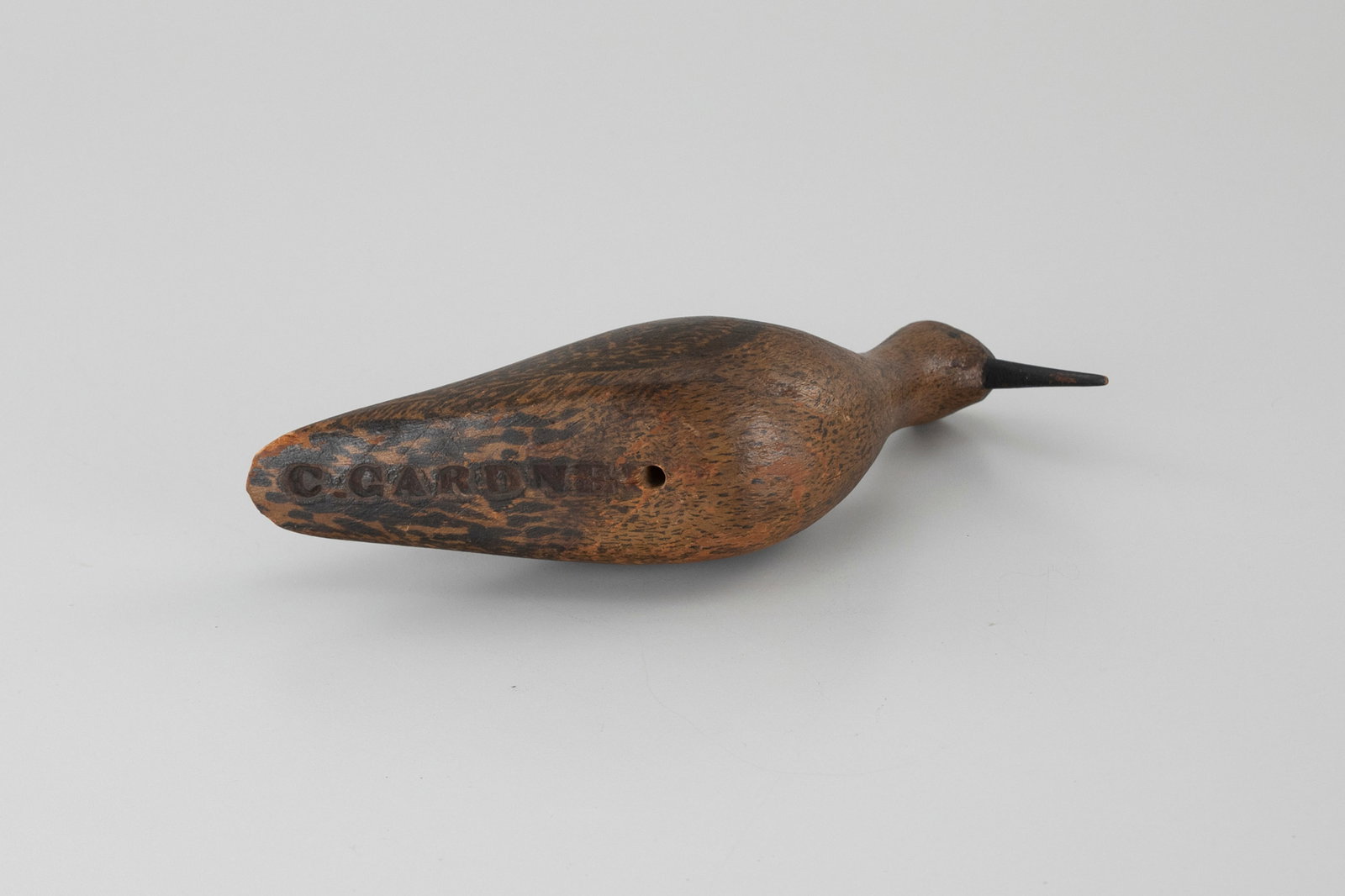 Eskimo Curlew - 4