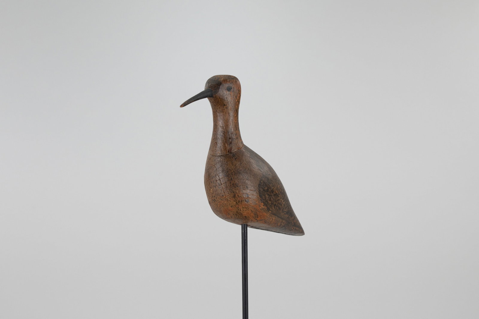 Eskimo Curlew - 5