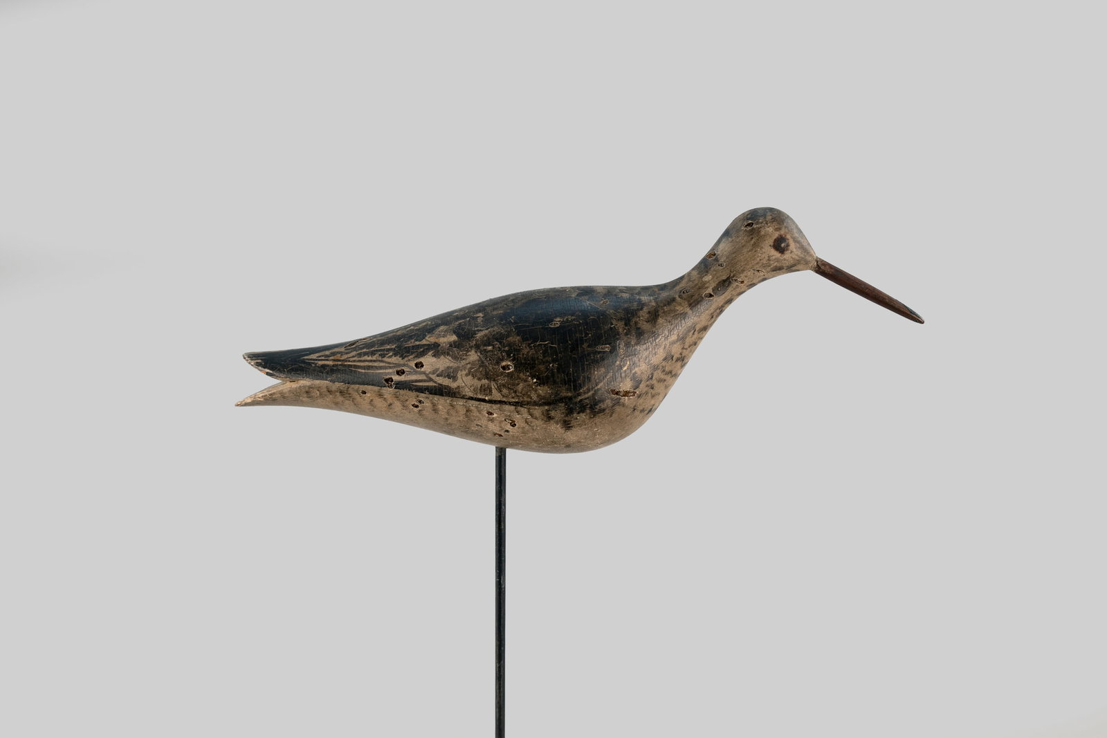 Running Yellowlegs (1 of 5)