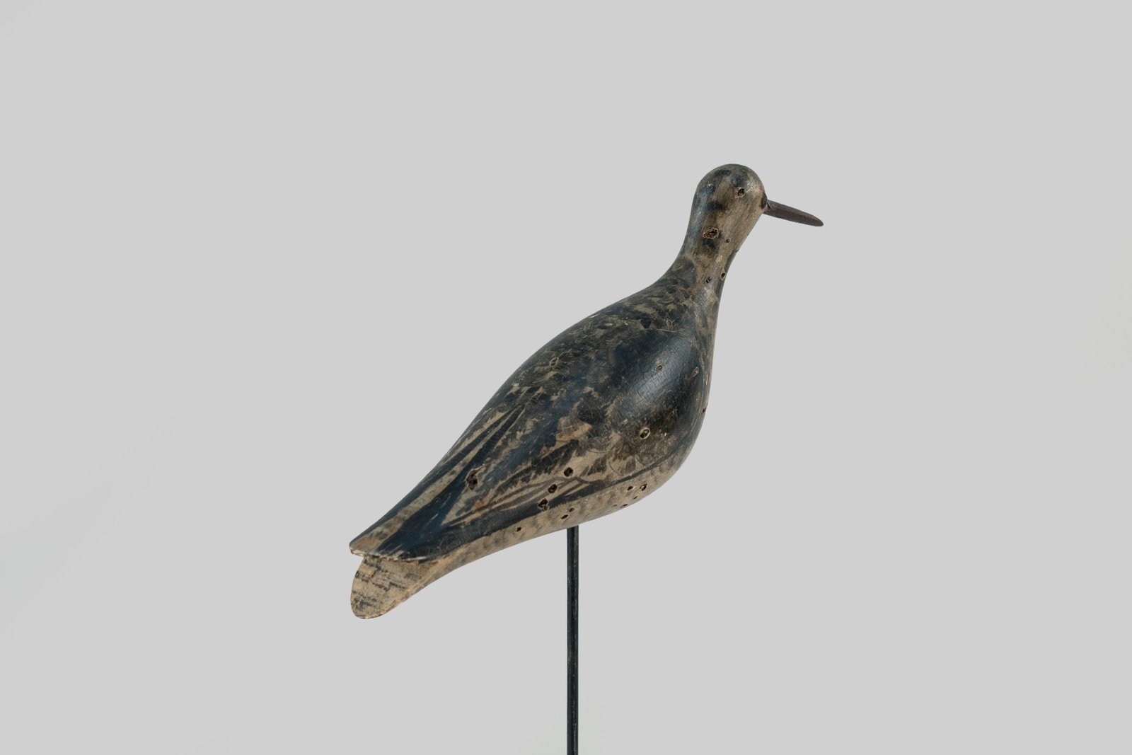 Running Yellowlegs - 3