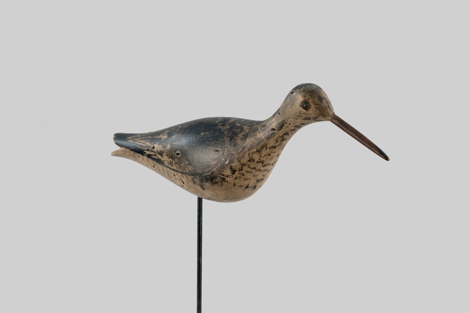 Running Yellowlegs - 5