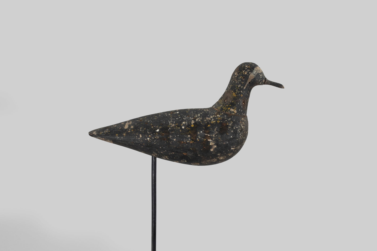 Two-Piece Golden Plover by Charles F. Coffin (1835-1919): Two-Piece Golden Plover Charles F. Coffin (1835-1919) Nantucket, MA, c. 1870 10 1/4 in. long Appears to be original paint with gunning wear and a replaced bill.