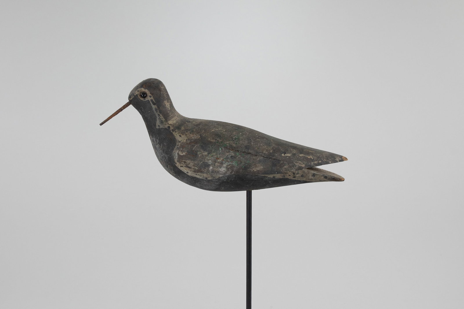 Beetle-Head Plover - 2