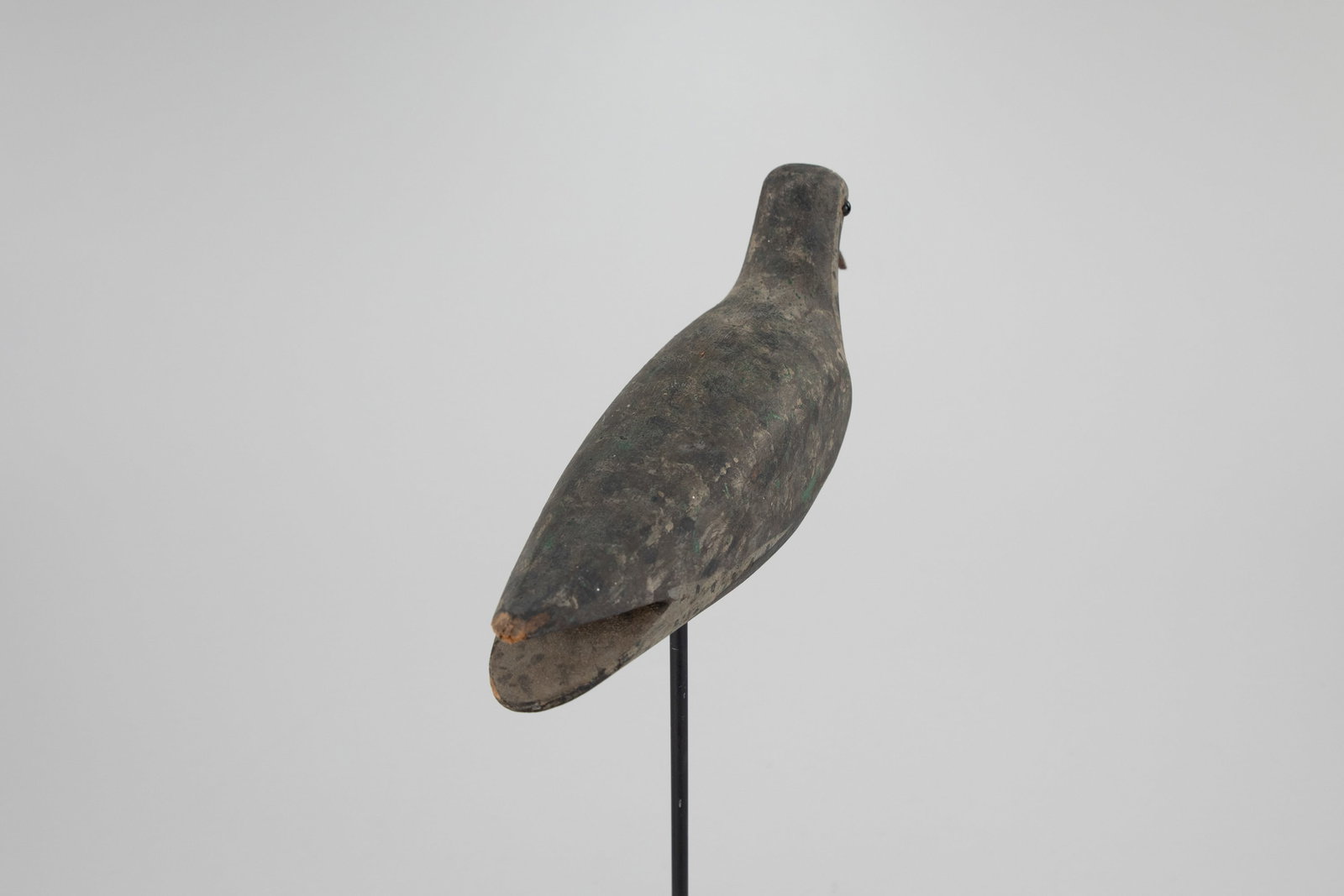 Beetle-Head Plover - 3